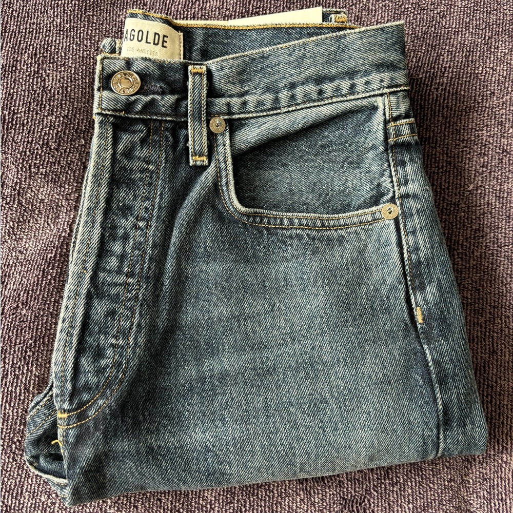 Agolde 90's Pinch Waist High Rise Straight